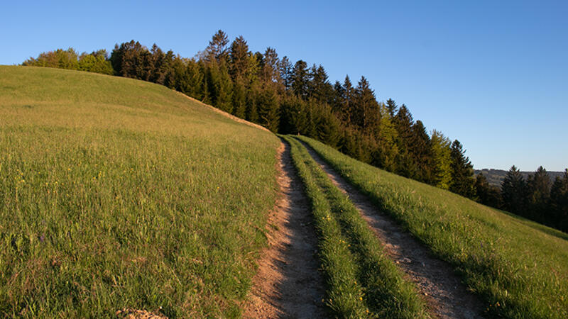 5ea02f284addf Wandern Kolomansberg 9 TVB Mondsee Irrsee Responsive 750x422