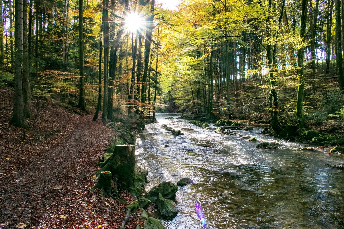 HelenentalMondseeHerbst TVBMondseeIrrsee