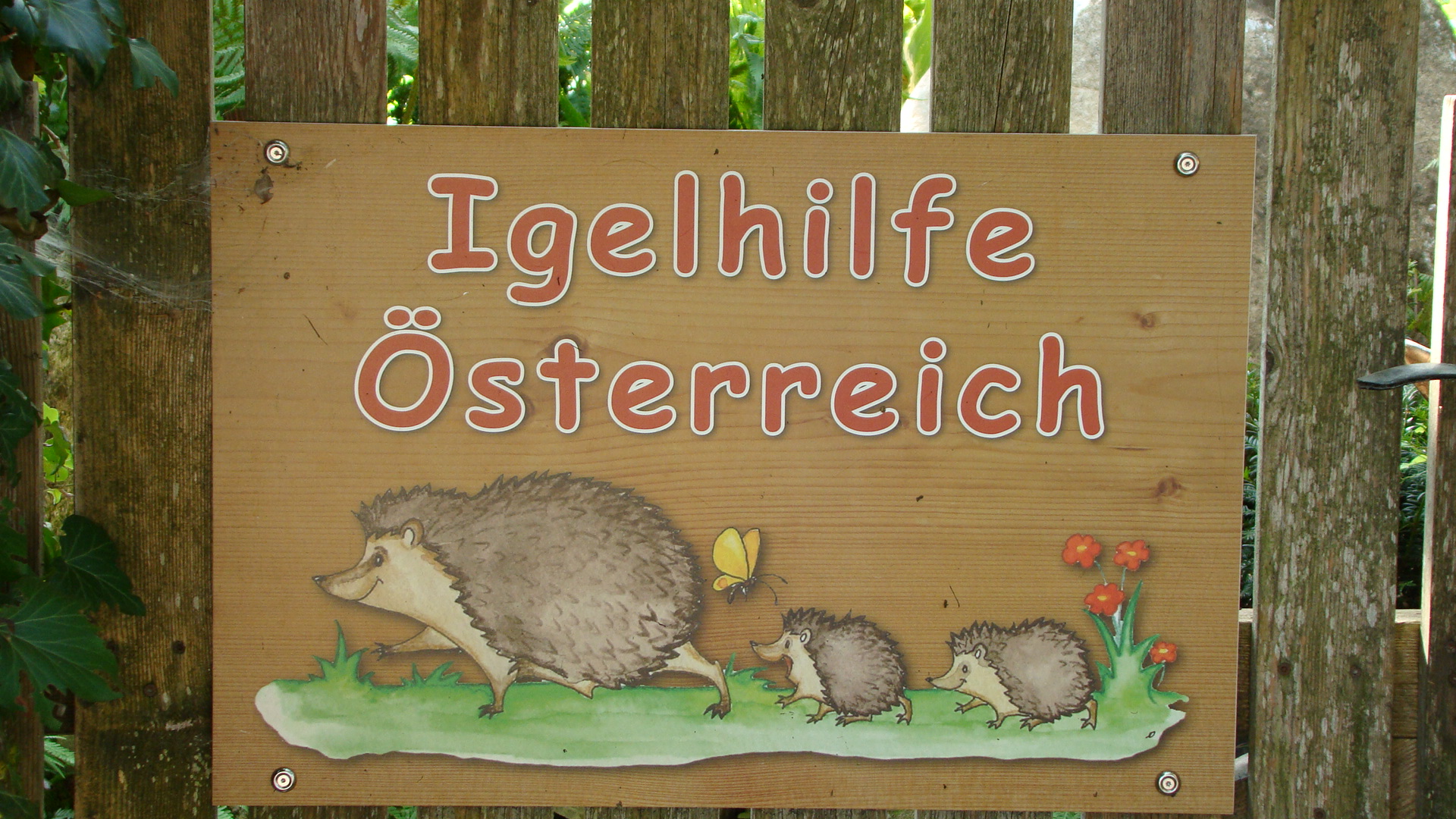 Iglhilfe Osterreich