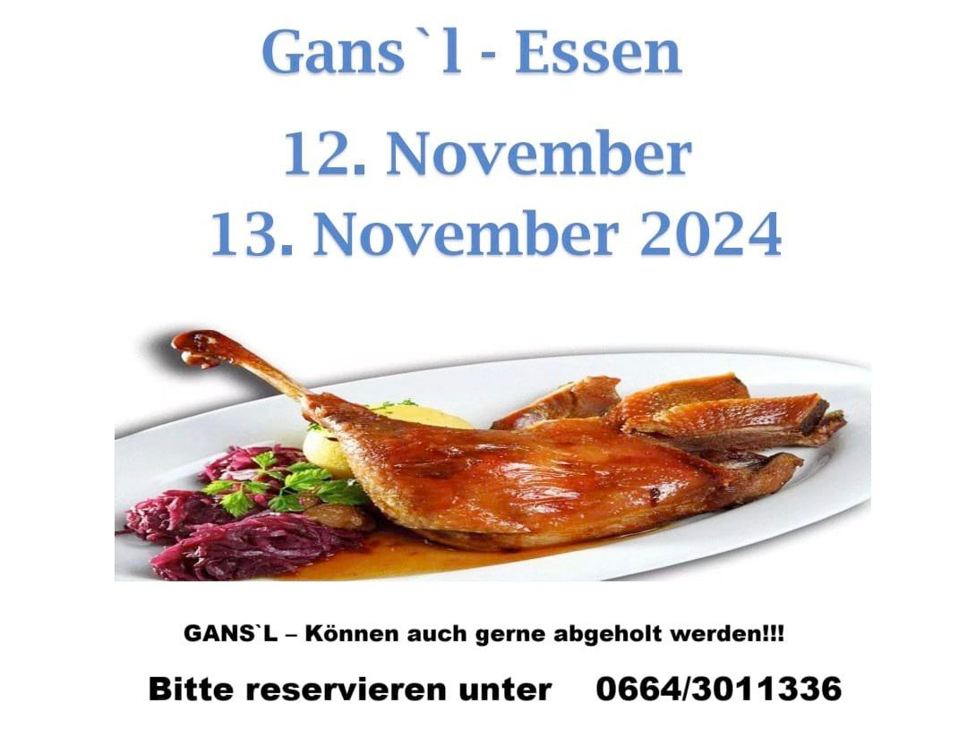 ganslessen