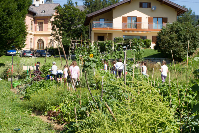 gemeinschaftsgarten