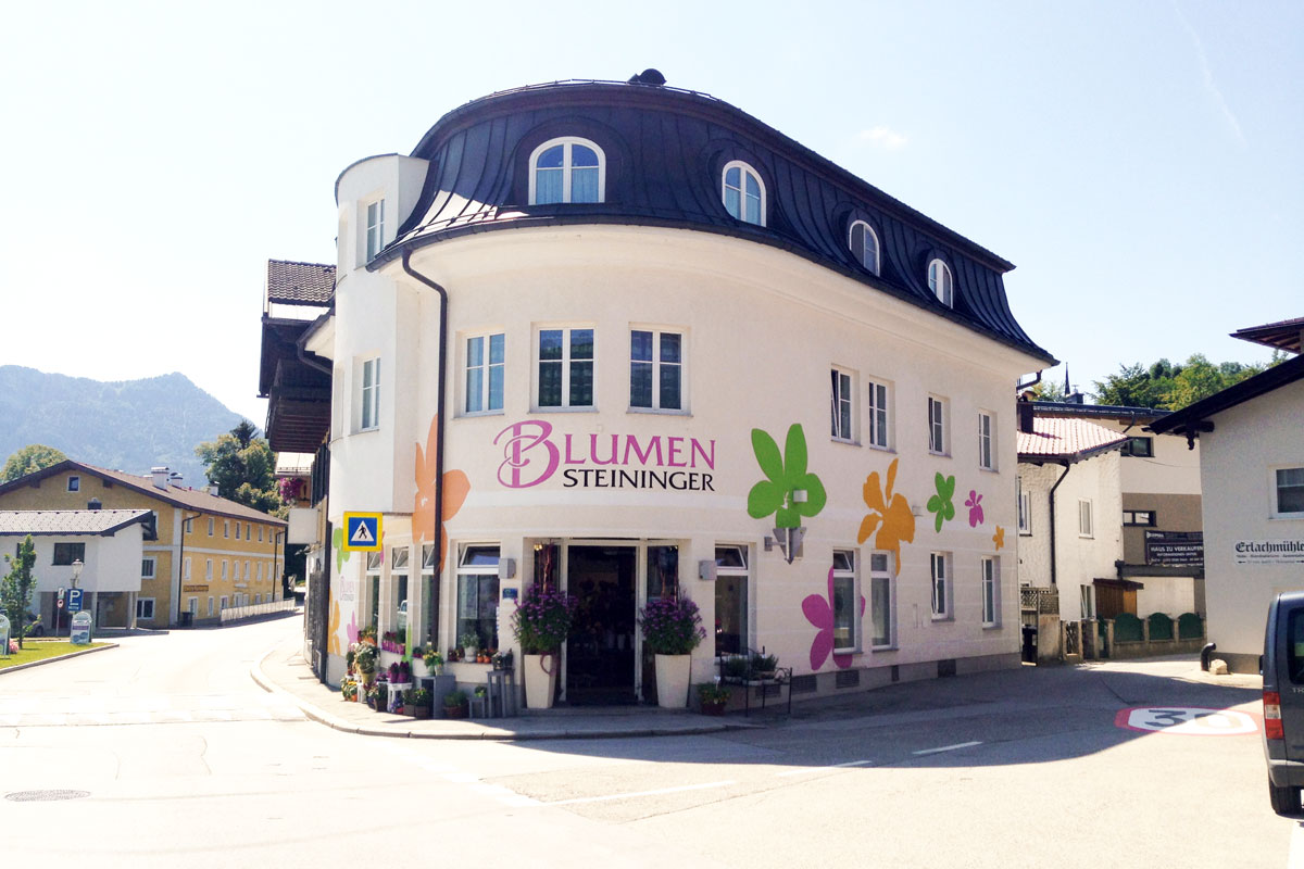 steininger haus